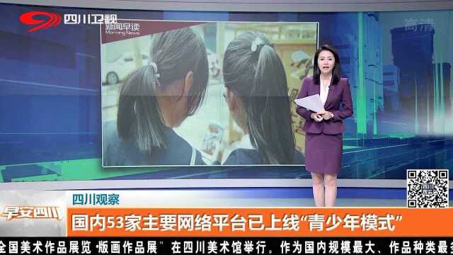 国内53家主要网络平台已上线“青少年模式”