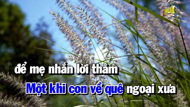 S氆ᮧ Trắng Miền Qu㪠Ngoại  Tone Nam