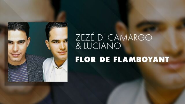 Flor de Flamboyant