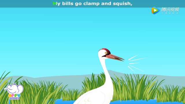 第8集 鸣鹤 Whooping Crane