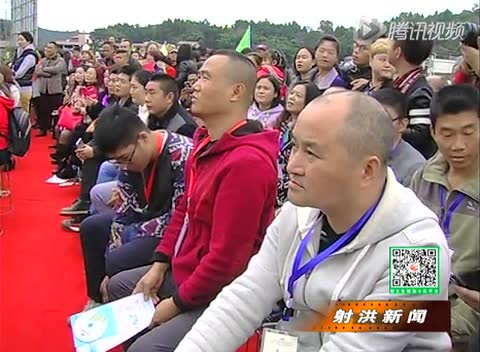 Thumbplayer Poster Plugin Image