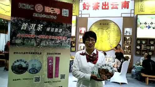 Thumbplayer Poster Plugin Image