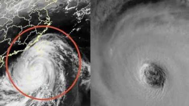 高清视频详解:台风山竹到底长啥样?