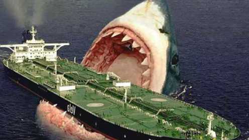 《巨齿鲨》带来史上最大鲨鱼，一口能吞掉一艘船，见过的人都死了
