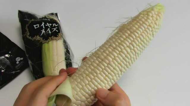 Raw Edible White Corn Weird and Rare Food