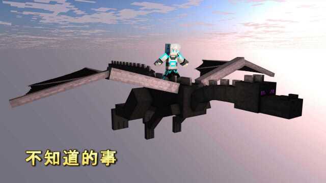 我的世界 Minecraft:近百种你可能不知道的事 第八期