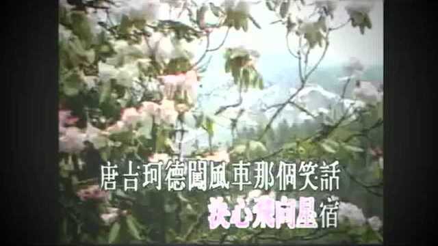 怀旧歌曲~《唐吉珂德》麦洁文 粤语