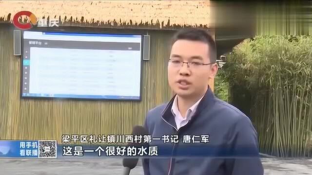 智汇八方 博采众长 梁平:物联网让渔业养殖更轻松