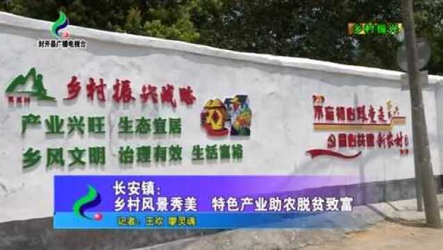 长安镇: 乡村风景秀美 特色产业助农脱贫致富