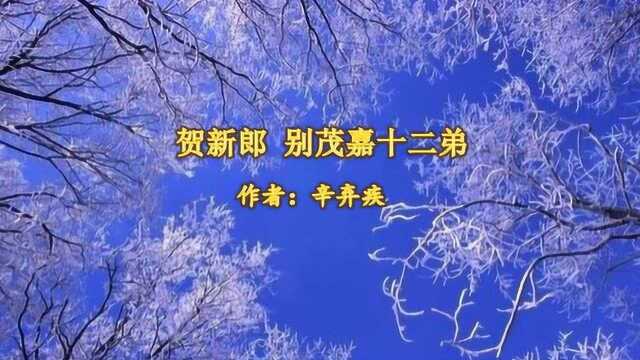 《贺新郎ⷥˆ먌‚嘉十二弟》辛弃疾 视频朗诵“谁共我 醉明月”