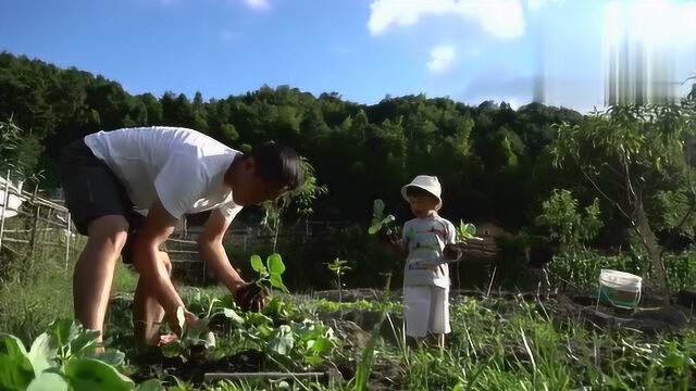 三个小地主翻身做农民,和80后爸爸上演一场农耕大戏