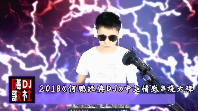 2018《何鹏经典DJ》中文情感串烧车载大碟!