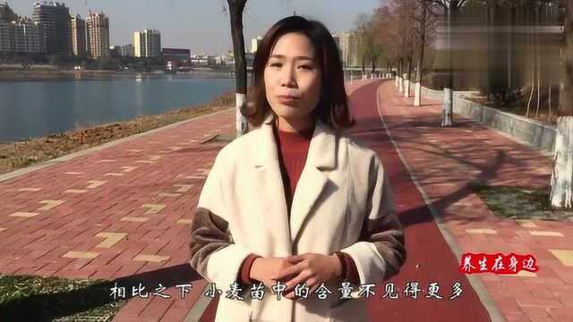 莫名火起来的青汁你喝了吗?小麦苗真的有这么神奇的功效吗?