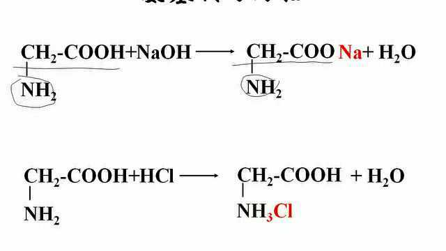 高工课堂人教高中化学选修1第1章关注营养平衡3生命的基础蛋白质