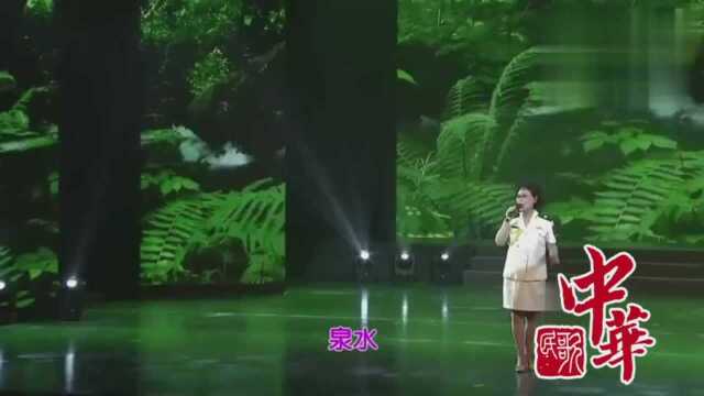 李杰示范演唱《木府风云》主题曲,太好听了,值得回味!