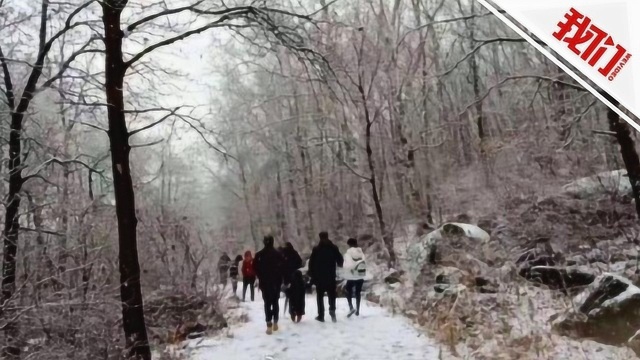 北京山区雪花飘飘洒洒 喇叭沟森林公园一片银光素裹