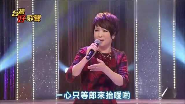 林淑容、孙淑媚《组曲》台湾好歌声现场版