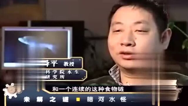 经典传奇:未解之谜——暗河水怪之谜