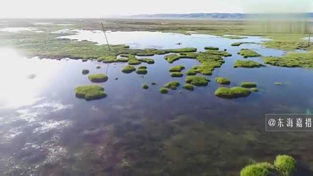 走进青海三江源保护区,这里生态很好