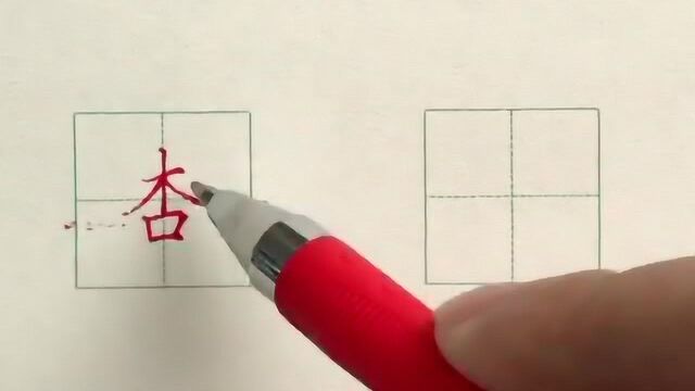 硬笔书法楷书每日一字:杏