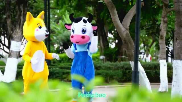 一起来看有趣的儿歌《peekaboo》吧