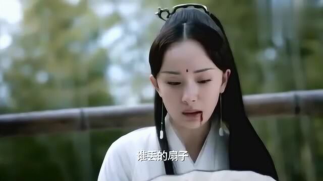 我是谁,我来自哪里