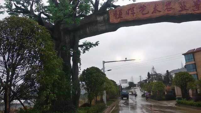 《我的城市我记录05》去清晨的万载三兴镇恒晖有机农业园参观