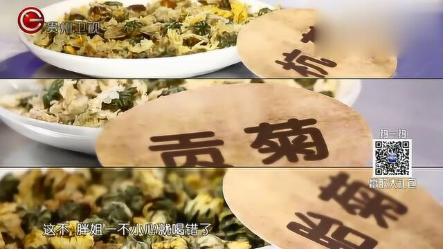 野菊也是药用菊花,却不能随意喝,听完瞬间长知识!