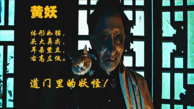 《晴怒湘西》轻科普,被称为黄妖的野狸子究竟是啥?