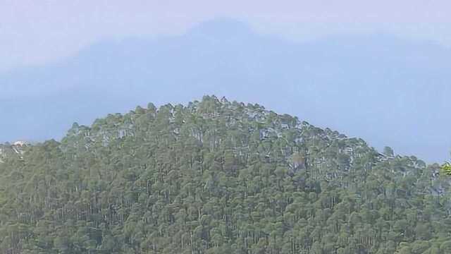 广东十大风水宝地之首的风水宝地,“丝线吊金钟”,实在是大开眼界!