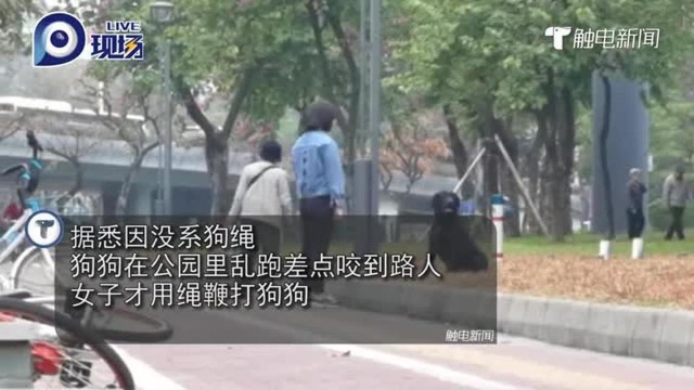 你怎么看?为惩罚狗狗 女主人用绳索狠抽其身体七八分钟