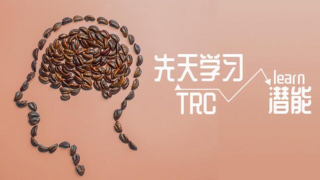 多元智能测试丨关于大脑多元智能先天学习潜能—TRC值讲解