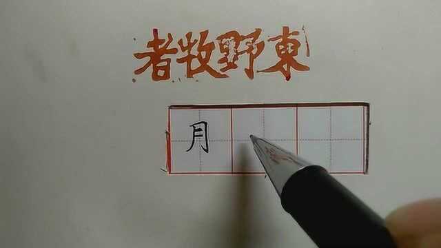 写“月”字常犯的两个错误,一边演示一边教你写好