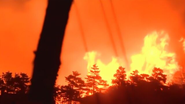 恐怖!韩国釜山发生森林大火 大面积山林被火海吞噬