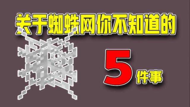 我的世界:蜘蛛网你不知道的事,简易红石中继器了解一下?