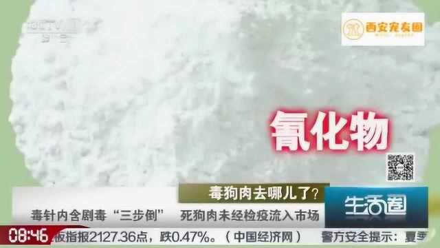 央视官宣:中国根本没有肉狗养殖场!毒狗肉流向餐桌?