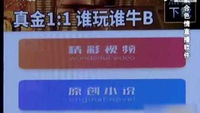 犯罪嫌疑人利用社交软件推广某直播软件,上面充斥低俗和赌博内容