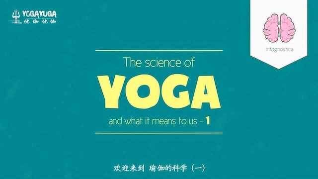 Yoga Yuga首发瑜伽的科学系列动画短片1