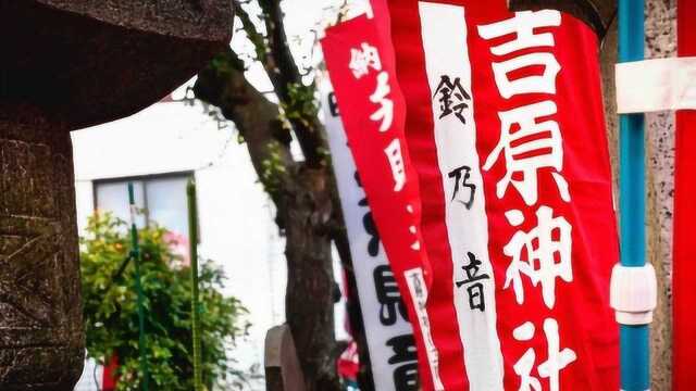 日本东京怪谈!东京户山公园的恐怖传说.