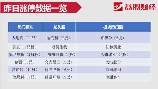 竞价看点:大盘低开高走 科技股再次归来?