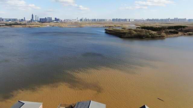 松花江水渠变黄成“鸳鸯锅”,工作人员:没有污染,是锰超标