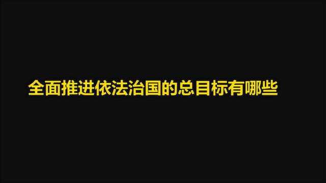 全面推进依法治国总目标有哪些