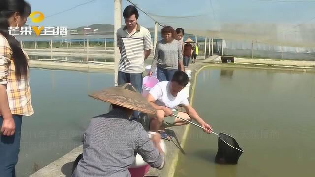 返乡农民看上泥鳅,养殖泥鳅“养”出一条致富路