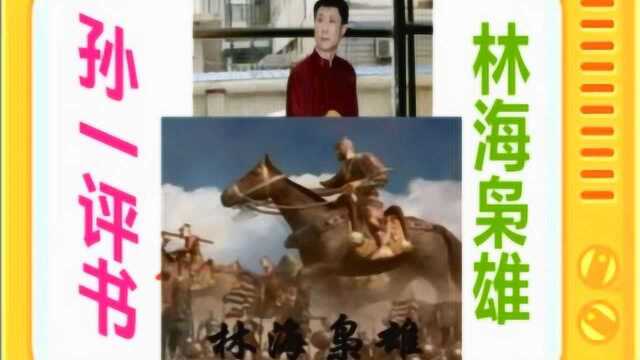 孙一评书:《林海枭雄》全本11