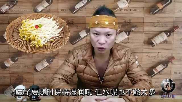 自己如何在家发黄豆芽?视频告诉你详细步骤