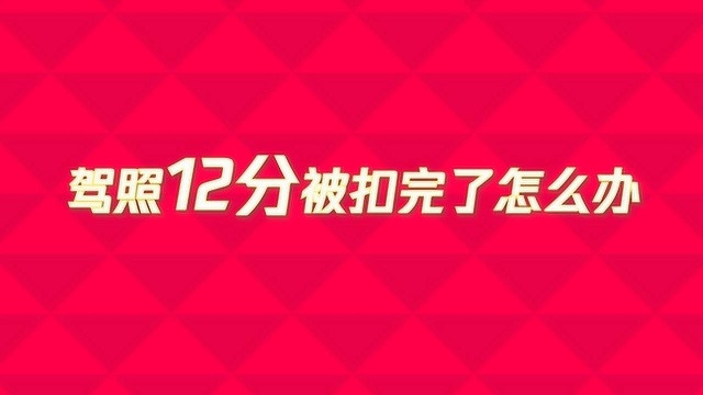 驾照12分被扣完了怎么办?