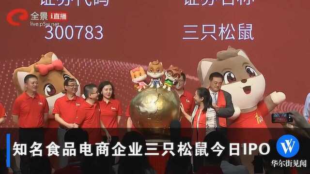 三只松鼠IPO投资人陷回忆杀:与创始人彻夜发微信被夫人怀疑