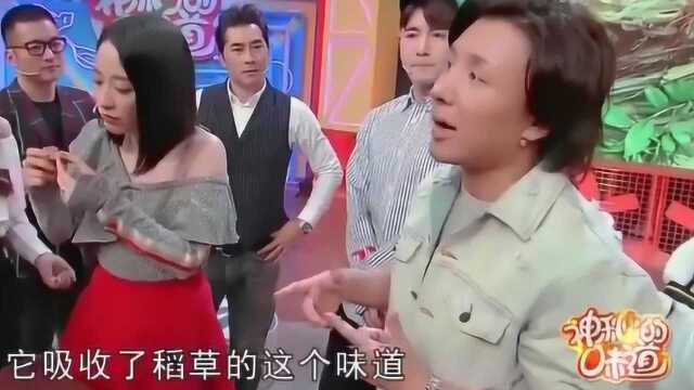 鸸鹋蛋是什么东西,到底存在吗,男子为您验证答案