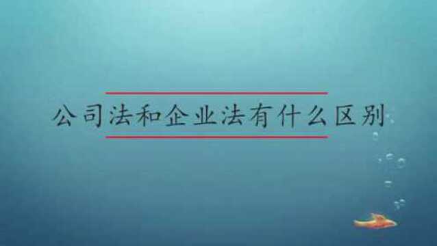 公司法和企业法有什么区别呢?