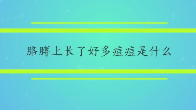 胳膊上长了好多痘痘是什么